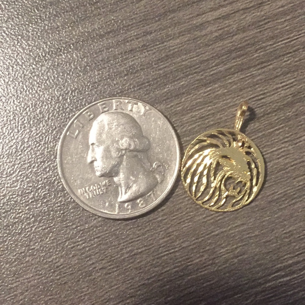Lion pendant. 14K Gold